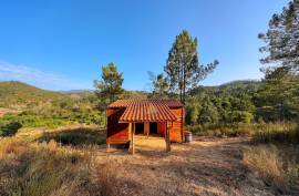 Self-Sustainable  Farmstead  12.7 Hectares with river  Stream – Organic Agriculture & Natural Resources