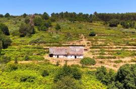 Farmhouse with Stream to Restore in Fóia, Monchique