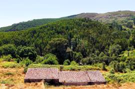 Farmhouse with Stream to Restore in Fóia, Monchique
