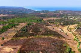 Rustic land with 48000 m2 at 3 km Arrifana beach - Aljezur