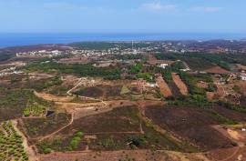 Rustic land with 48000 m2 at 3 km Arrifana beach - Aljezur