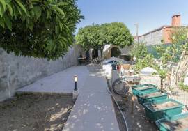 Fully renovated 2 bedroom villa with backyard and tank.