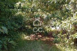 House 2 Bedrooms - São Mateus