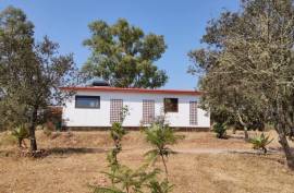 Giralda Luxury Estate For Sale In Mina de Sao Domingos Alentejo