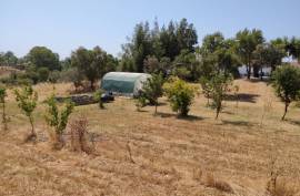 Giralda Luxury Estate For Sale In Mina de Sao Domingos Alentejo
