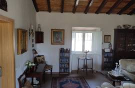 Giralda Luxury Estate For Sale In Mina de Sao Domingos Alentejo