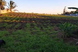 Excellent 4 Bed House for redevelopment for Sale in Madras Trinidad and