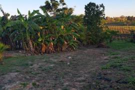 Excellent 4 Bed House for redevelopment for Sale in Madras Trinidad and