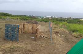 Excellent Plot of land for sale in Trinity Saint Kitts and