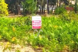 VIEIRA DE LEIRIA---Plot of land rustic located within the urban area with an area of 270 m2 with viability for the construction, situated in a quiet area of Vieira de Leiria, 3 km from Praia da Vieira.