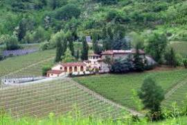 Piedmont Estate with Biodynamic Winery - Alessandria