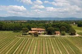 Agriturismo con vigneti DOC, Castiglione del lago - Umbria