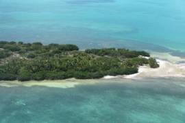 For Sale: 392 Hectares of Land for Sale in Bacalar