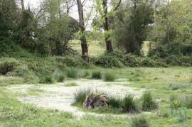 Terreno para construção T8 em Poceirão e Marateca de 19000,00 m²