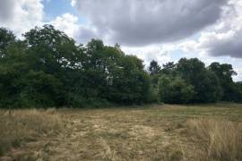 Country Farmhouse to Renovate with Outbuildings