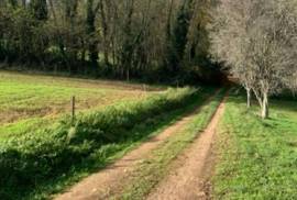 5 Bedrooms - House - Aquitaine - For Sale - 11950-LA