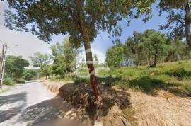 Land with 1213 m2 for construction, in Figueiró dos Vinhos.