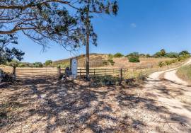 Country Home/Ranch with 2.8 Hectares and Jacuzzi near the Beach | Vila do Bispo, Algarve