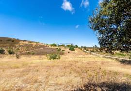Country Home/Ranch with 2.8 Hectares and Jacuzzi near the Beach | Vila do Bispo, Algarve