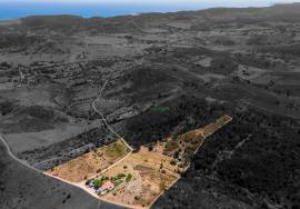 Country Home/Ranch with 2.8 Hectares and Jacuzzi near the Beach | Vila do Bispo, Algarve