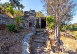 Country Home/Ranch with 2.8 Hectares and Jacuzzi near the Beach | Vila do Bispo, Algarve