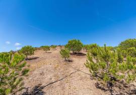 Country Home/Ranch with 2.8 Hectares and Jacuzzi near the Beach | Vila do Bispo, Algarve