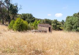 Country Home/Ranch with 2.8 Hectares and Jacuzzi near the Beach | Vila do Bispo, Algarve