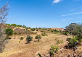 Country Home/Ranch with 2.8 Hectares and Jacuzzi near the Beach | Vila do Bispo, Algarve