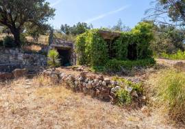 Country Home/Ranch with 2.8 Hectares and Jacuzzi near the Beach | Vila do Bispo, Algarve