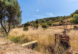 Country Home/Ranch with 2.8 Hectares and Jacuzzi near the Beach | Vila do Bispo, Algarve