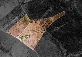 Country Home/Ranch with 2.8 Hectares and Jacuzzi near the Beach | Vila do Bispo, Algarve
