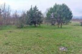 ATTRACTIVE AGRICULTURAL LAND!