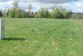 2 ha on the river bank  coastline is 300m