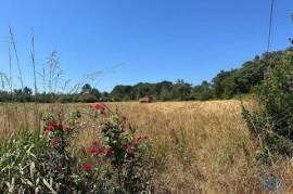 Terreno em Requeixo, Nossa Senhora de Fátima e Nariz de 240,00 m²