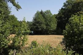 Detached Hamlet House with Pool for Sale - Vaulry - 87