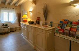 Solid Business For Sale with Swimming Pool
