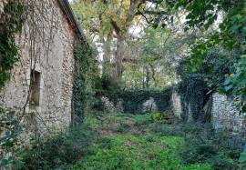 - Building - Aquitaine - For Sale - 11528-EY