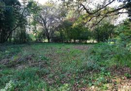 - Building - Aquitaine - For Sale - 11528-EY