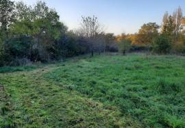- Building - Aquitaine - For Sale - 11528-EY