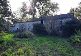 - Building - Aquitaine - For Sale - 11528-EY