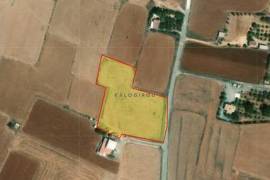 Agricultural Land for Sale in Avgorou village, Famagusta