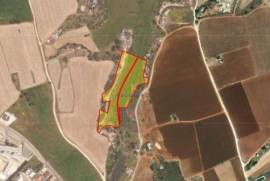 Agricultural Land for Sale in Avgorou village, Famagusta