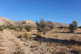 listing listing
