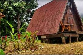 3 Log Cabins & 5 Acres of Rainforest land For Sale In Pont Casse Dominica