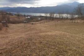 Excellent Plot of land for sale in Grozavești Romania