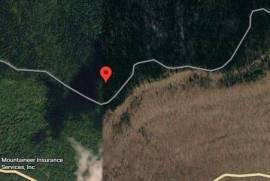 Excellent Plot of land for sale in Thorny Flat Snowshoe, WV USA