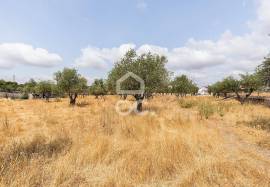 Land Elvas Land Elvas