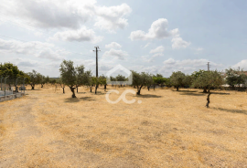 Land Elvas Land Elvas