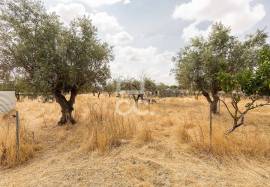 Land Elvas Land Elvas