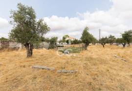 Land Elvas Land Elvas